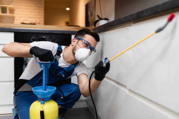 Best Pest Prevention Services  in Skyline Ganipa, NM