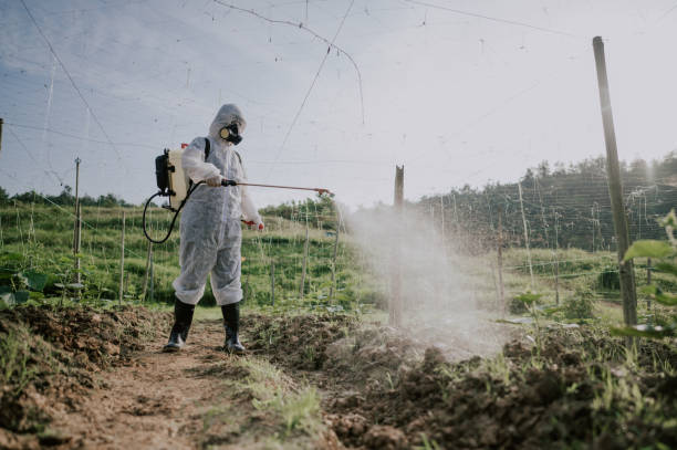 Pest Prevention Services in Skyline Ganipa, NM