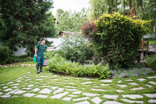 Best Pest Control Treatment  in Skyline Ganipa, NM