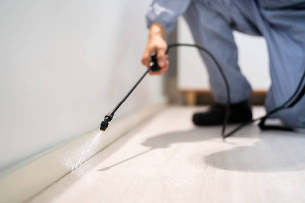 Flea Control Services in Skyline Ganipa, NM
