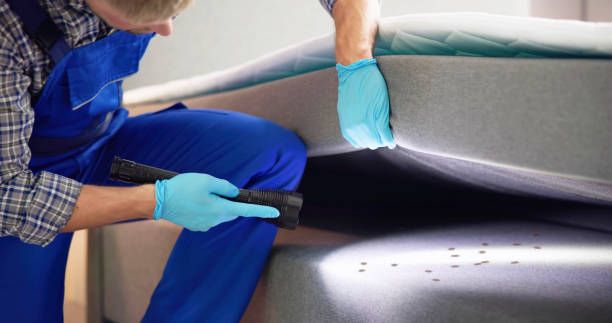 Best Ant Control Services  in Skyline Ganipa, NM