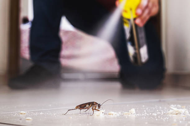 Best Termite Control Services  in Skyline Ganipa, NM
