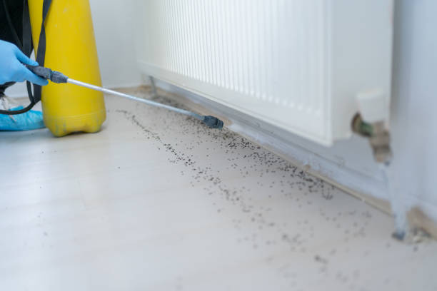Best Exterminator Services  in Skyline Ganipa, NM