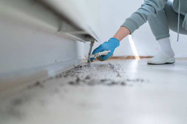 Best Mosquito Control Services  in Skyline Ganipa, NM